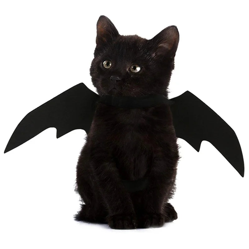 Creative Halloween Cute Pet Clothes