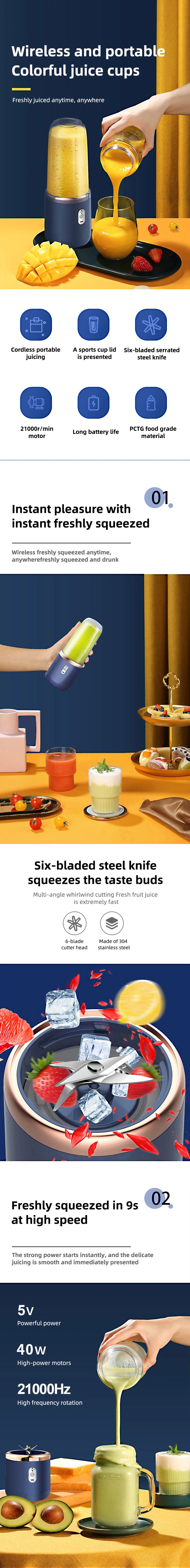 BlendGo Pro Portable Blender