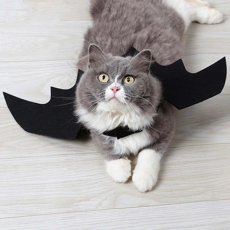 Creative Halloween Cute Pet Clothes